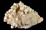 Cave Calcite (Aragonite) Formation - Fluorescent #137369-2